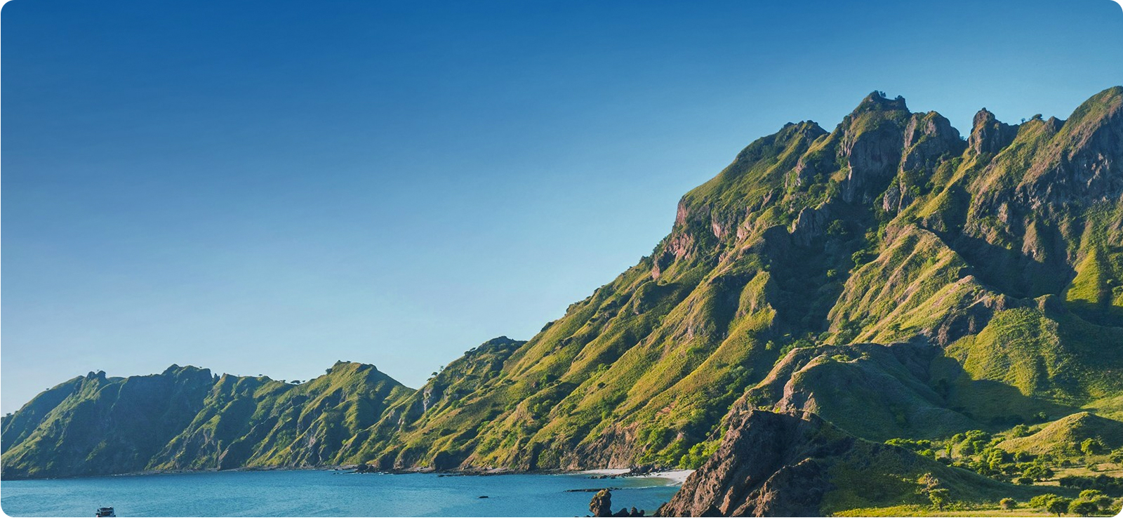 FH至尊绿色允许及行动